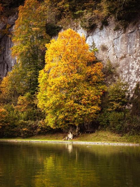 Das Luegstein Киферсфельден Экстерьер фото